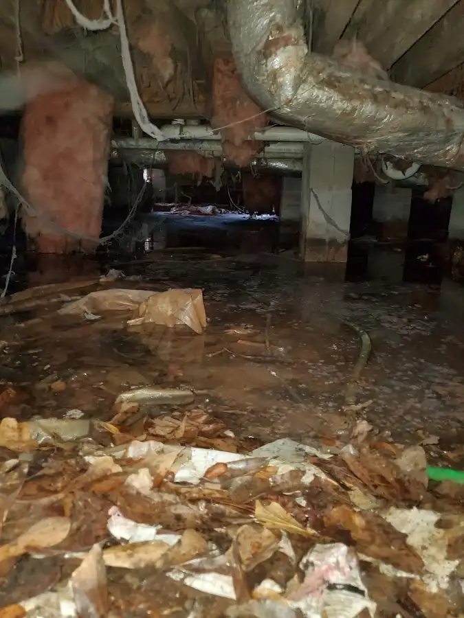 Crawl space flood assessment for Leak Detection & Repair in South Houston